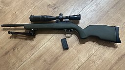Diana r22 mit optik