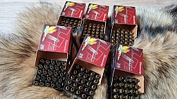 17. Hornet Hülsen 147 Stück