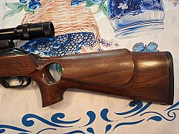 Heckler & Koch SL 630 in Kal. 223