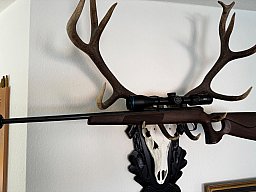 Weihrauch HW 66 17. Hornet Thumbhole/ Hausken MD45 MKII/ Meopta MeoHunter R5 3-15x30