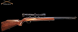 Selbstladebüchse Stevens Arms (Savage Arms) Mod. 87N in .22lr
