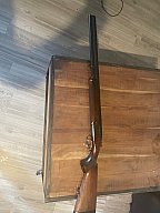 Bockdoppelfinte 12/70
