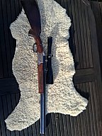BBF-Blaser 700/88 Luxus