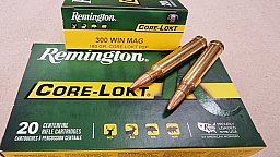 .300WinMag/180grs Core-Lokt PSP Remington 20 stk. # SSZ Berka