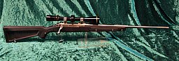 Ruger mod M77 Mark II cal 308 win & Leupold
