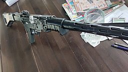 Schweizer stgw57