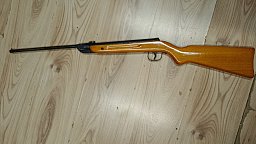Diana 22